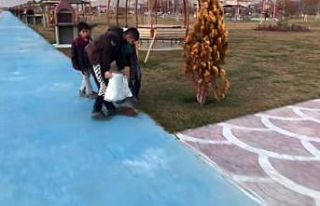 Sokak hayvanlarını besleyen çocuklar yürek ısıttı