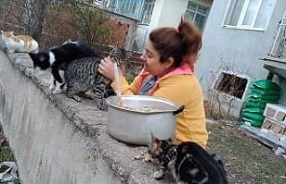 Sokak hayvanlarını evinin bahçesinde besliyor