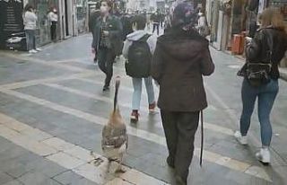 Sokakta görenler dönüp bir daha baktı