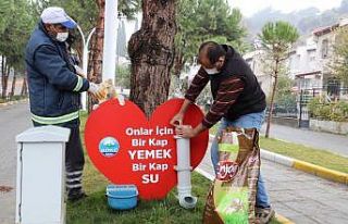 Söke’de Pandemi sürecinde sokak hayvanları aç...