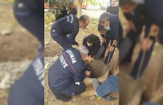 Su kuyusuna düşen keçi kurtarıldı