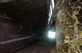 Su kuyusuna düşen yavru köpekler kurtarıldı