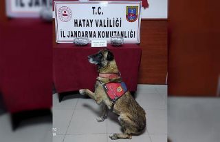 Şüpheli otomobilden uyuşturucu çıktı