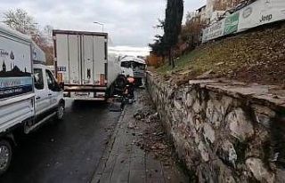 Sürücünün kontrolünden çıkan balık yüklü...