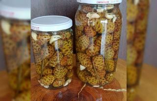 Süs olarak kullanılan kozalaklar şifa kaynağı...