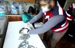 Tarihi sikkeleri satamadan jandarmaya yakalandı