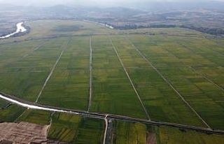 Tarım alanlarında 8,25 milyon hektar alanda toplulaştırma...