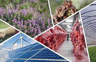 Tarıma dayalı ekonomik yatırım projelerine 1,5...