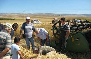 Tarımsal üretimdeki önlenebilir kayıplar, Türkiye’nin...