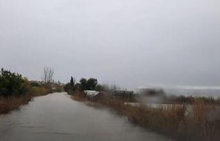 TARSİM: “Ülkemiz için üreten ve alın teri döken...