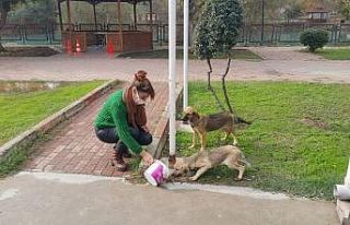 Tarsus Belediyesi, sokağa çıkma yasağında sokak...