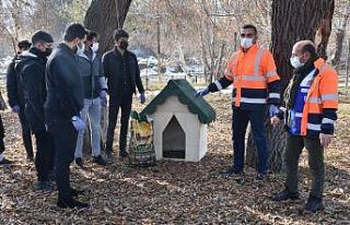Tatvan Belediyesinden sokak hayvanlarına kulübe