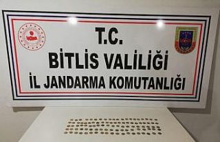 Tatvan’da silah ve tarihi eser kaçakçılığı