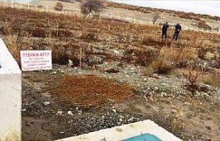 Tavşanlı’da 9 dekarlık ceviz bahçesi destekleme...