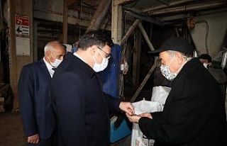 Tavuk dışkısı elektrik enerjisine dönüşüyor