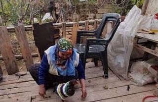 Tavukları üşümesin diye kazak ördü