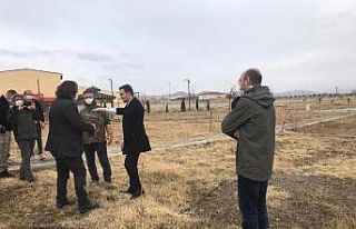 Tedavileri tamamlanan kuşlar özgürlüğüne kavuştu