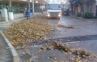 Temizlik görevlilerinin yaprak mesaisi