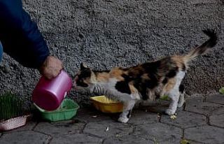 Tepebaşı Belediyesi ekipleri iki günlük sokağa...