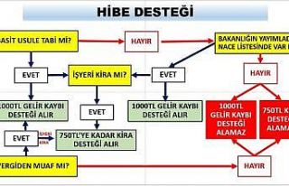 Ticaret Bakanlığı kira ve nakdi yardımlardan faydalanacak...