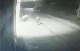 TMO deposundan 15 çuval fındık çaldılar