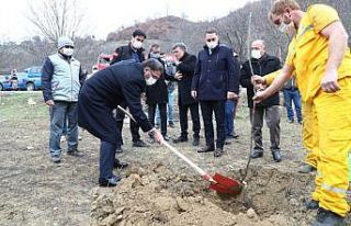 Tokat’ta 80 bin ceviz fidanı toprakla buluşturuldu