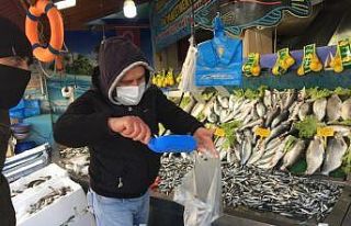 Tokat’ta hamsi fiyatları cep yakıyor