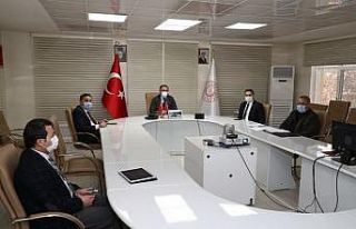 Tokat’ta sokak hayvanlarını birlik koruyacak