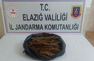 Toz esrarı koltuğa zulalayan 2 şüpheli yakalandı