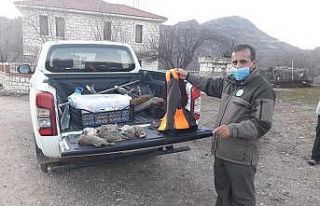 Tunceli’de  avlanan 5 şahıs yakalandı