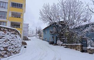 Tunceli’de kar yağışı etkili oldu, 132 köy...