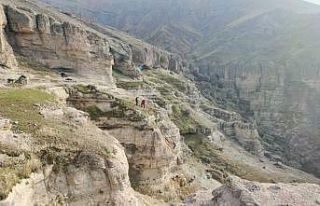 Tunceli’de kayalıklarda mahsur kalan keçileri...