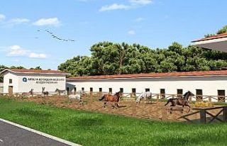 Türkiye’ye örnek proje şekillenmeye başladı