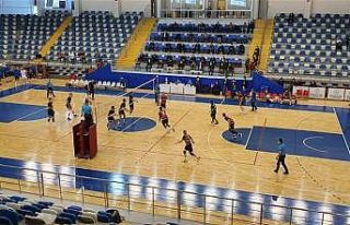 TVF Erkek 1. Lig B Grubu