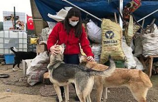 Üniversite öğrencileri engelli ve yavru köpekleri...