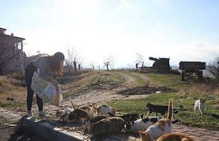 Üniversite öğrencilerinden, "Mama kumbarası"...