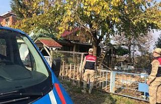 Vaka sayısı yüzde 100 artan Samsun’da polis ve...