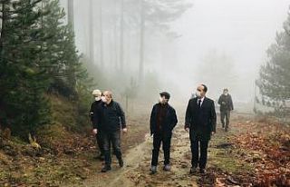 Vali Aktaş, bal ormanları proje sahasını gezdi