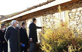 Vali Ali Çelik, Kureyşler Barajı Kurtarma Kazıları...