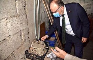 Vali Tutulmaz, Kadıoğlu Mozaiklerini inceledi