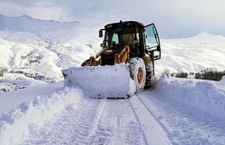 Van Büyükşehir Belediyesi karla mücadelesini sürdürüyor