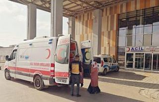 Van Büyükşehir Belediyesinden hasta nakil mesaisi
