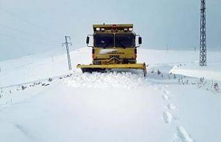 Van Büyükşehir Belediyesinden karla mücadele çalışması