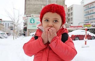 Van’da 3 aylık kar esareti başladı