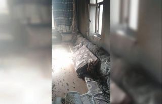 Van’da ev yangını