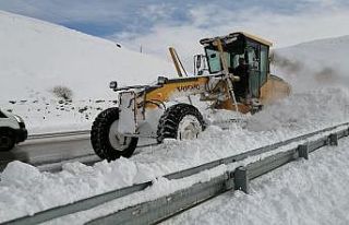 Van’da kardan dolayı kapanan yollar açılıyor