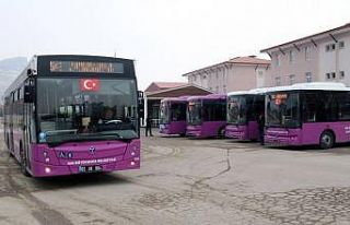 Van’da kısıtlama nedeniyle ulaşım saatleri yeniden...