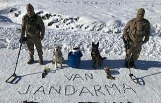 Van’da PKK terör örüğüne ait silah ve mühimmat...