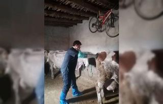 Van’da suni tohumlama hizmeti