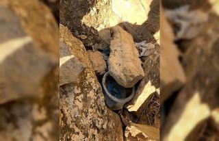 Van’da terör operasyonu